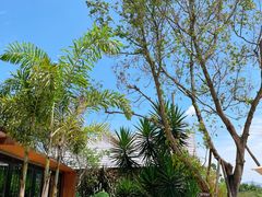 -悦哉·派对·草坪婚礼·围炉煮茶(三圣乡店)