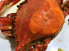 -张树军海鲜(王府壹号店)