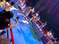 -广州长隆国际大马戏