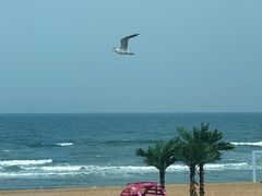 -那香海钻石沙滩浴场