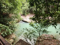 -广州白江湖森林公园