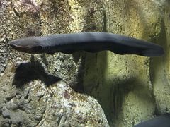 -多彩贵州城极地海洋世界