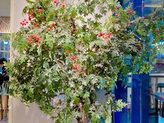 -喜识·冰糖葫芦·炒酸奶(西美花街店)