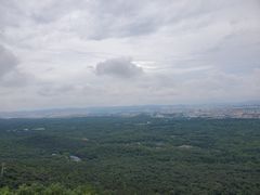 -紫金山天文台