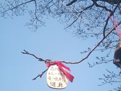 -柯岩风景区