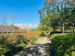 -白塘生态植物园