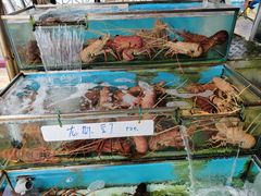 -旗鱼海番村(Orang Asli)