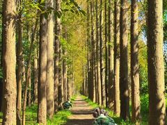 -上海长兴岛郊野公园