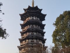 -洋湖国家湿地公园