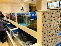 水产区-双井轩(双井店)