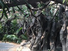 -海上田园