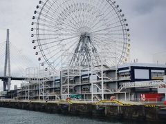 -大阪海游馆