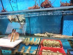 -鲜入围煮花胶鸡海鲜火锅