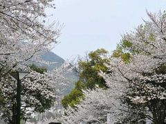 -杭州少年儿童公园