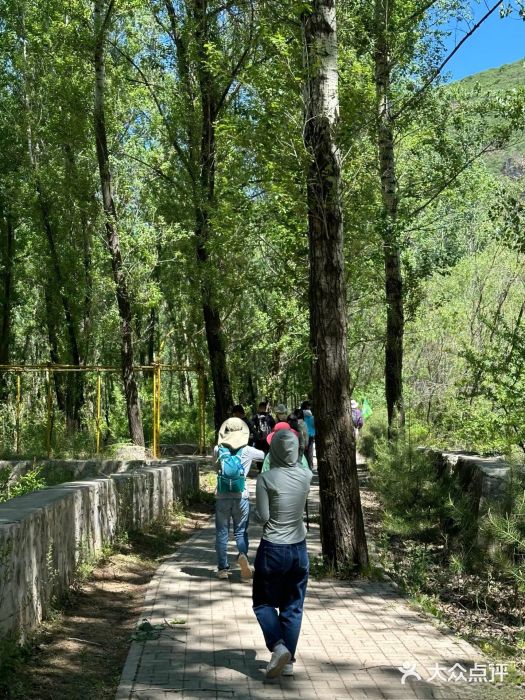 百里山水画廊图片