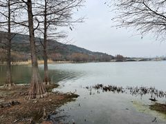 -长广溪湿地公园