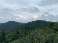 -武陵山森林公园