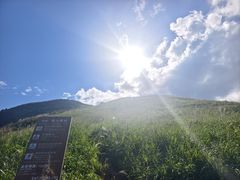-大围山国家森林公园