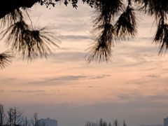 -汉长安城未央宫国家考古遗址公园