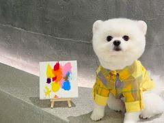 -樱桃家的宠物店(君安花园店)