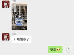 -喜多萌中农锦绣动物医院24H·猫科·牙科MRI·CT