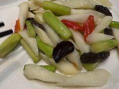 -春茗熙