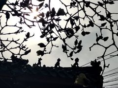 -中国中医科学院西苑医院(本部)