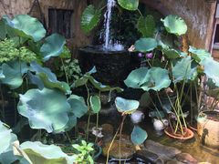 -园林美食城·本土农家菜(杨和镇店)