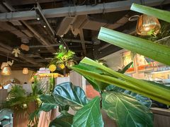 -大头椰·椰子鸡火锅(南宁万象城店)