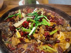 -老板恋上鱼(印象城店)