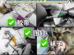-科道动物医院·急重症中心(万达院)
