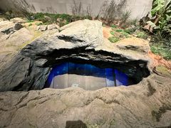 -北京周口店北京人遗址博物馆