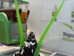 -Salud撒露欧洲冻酸奶(蓝色港湾店)