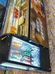 -卡通尼·Safari非洲探索乐园·生日会(金桥国际商业广场店)