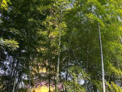 -阿育王寺素斋馆