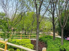 -石家庄市动物园