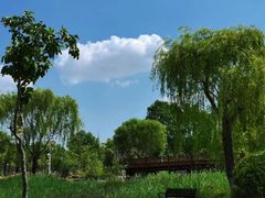 -济南国际园博园