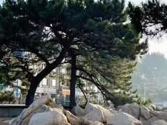 -老虎石海上公园