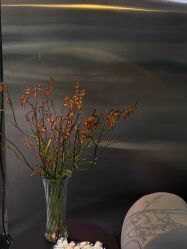 -Hair Code芭曲发型