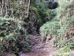 -峨眉山风景名胜区