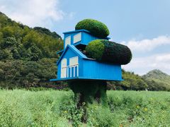 -广州市石门国家森林公园