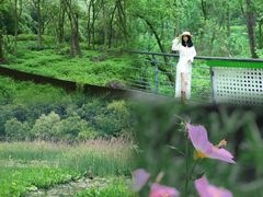 -西湖风景区-江洋畈生态公园