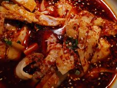 重庆老街口水鸡-江渔儿酸菜鱼(奥园广场金发购物中心店)