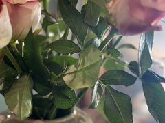 -亭亭鲜花店(中山北路店)