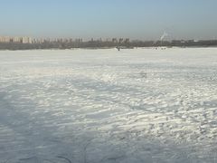 -丁香湖公园