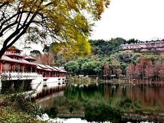 -重庆彩云湖湿地公园