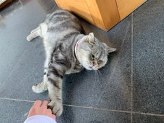 -东方艺术博物馆