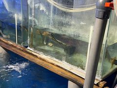 -太平洋海底世界