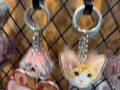 -和它·交个朋友·狗咖猫咖(爱琴海店)