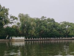 -北陵公园